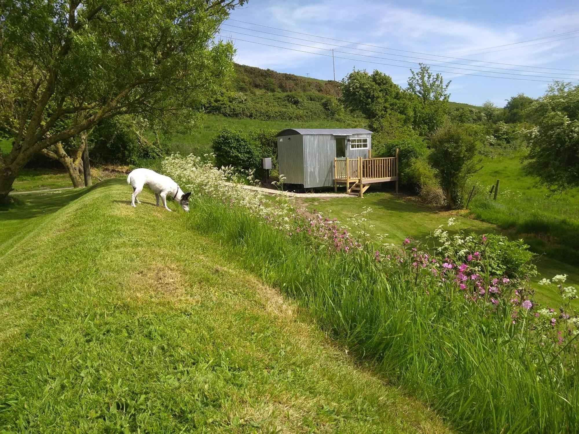 Shepherds Hut Weymouth Dış mekan fotoğraf